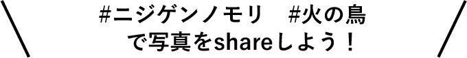 ＃ニジゲンノモリ　＃火の鳥で写真をshareしよう！